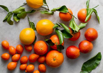 Ήπειρος: Ρεκόρ εξαγωγών αλλά και μείωσης τιμών