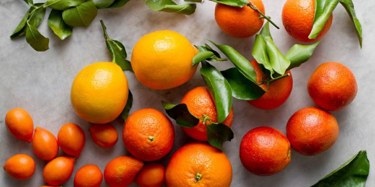 Ήπειρος: Ρεκόρ εξαγωγών αλλά και μείωσης τιμών