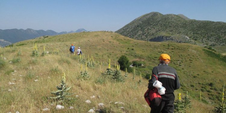 Μονοπάτια και καραούλια Σουλιωτών Εθνικό χρέος η ανάδειξή τους