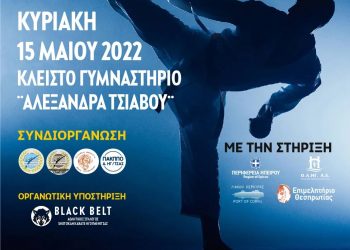αφίσα κυπέλλου καράτε