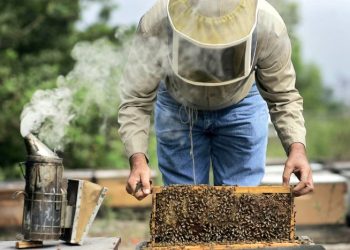 melissokomos-melissa