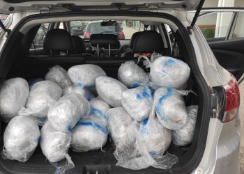 77κιλα-καανναβη