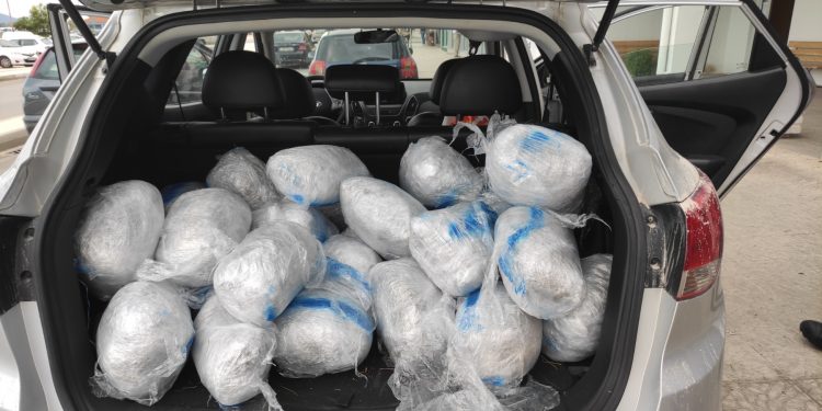 77κιλα-καανναβη