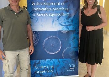 Κ. Λύτρα ΕΛΟΠΥ , Ι. Νέγκας ΕΛΚΕΘΕ