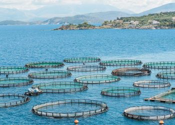 ΙΧΘΥΟΚΑΛΛΙΕΡΓΕΙΑ-2