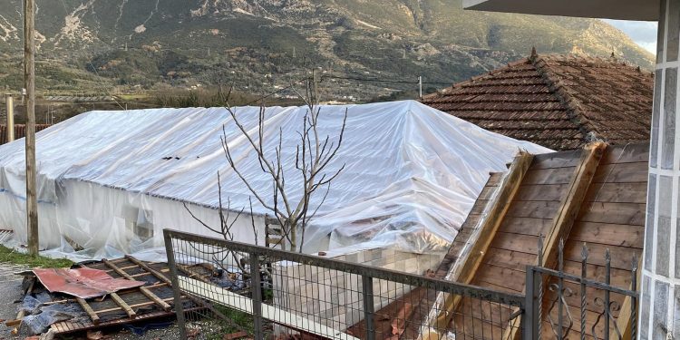 zimies-paramitia-q0zb7y7ztd17zf690vtxyadvjqwoowll5doo5ymz08