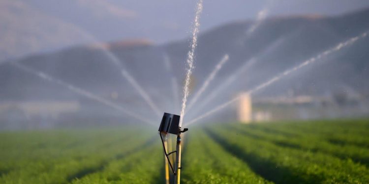 τοεβ-toev-xorafi