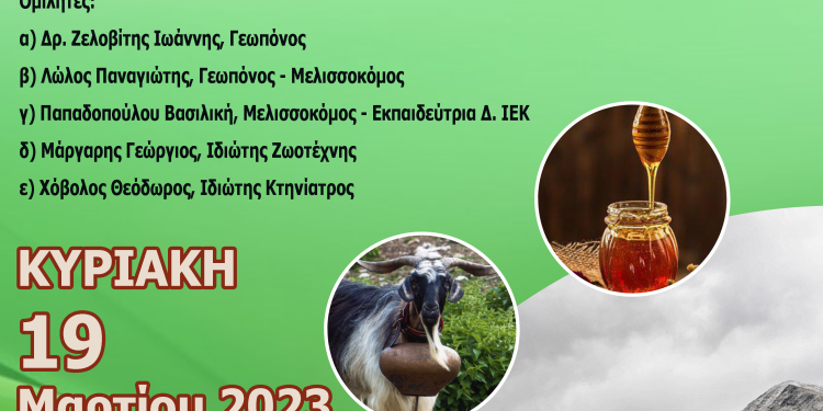 ΑΦΙΣΑ ΜΕΛΙΣΣΟΚΟΜΙΑ FINAL