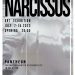 narcissus