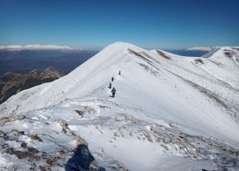 Μουργκάνα χιονι