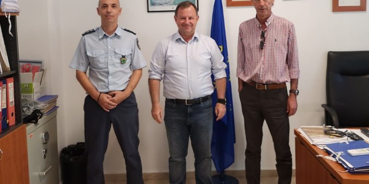 ααδε-γιογιακασ