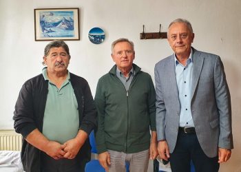 μπεζας μαργαριτι