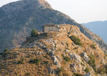 naoi-soyli