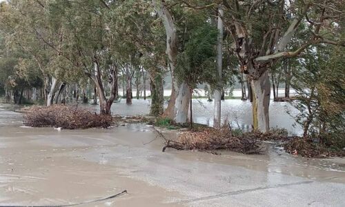 se katastash ektakths anagkhs