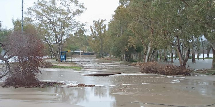 δρεπανο-ζημια