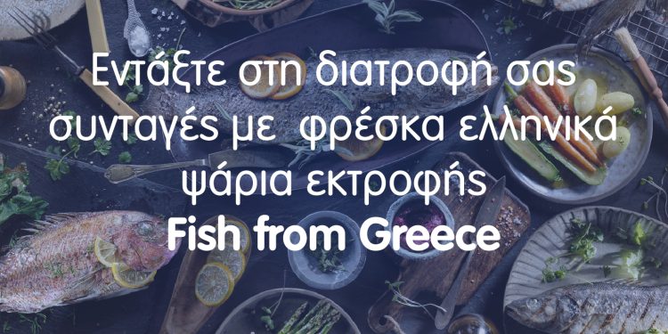 Η ΘΕΣΠΡΩΤΙΚΗ