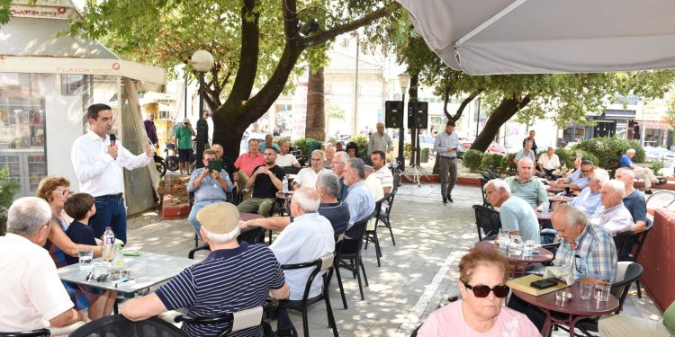 ARTA KATRINHS 2 SMALL