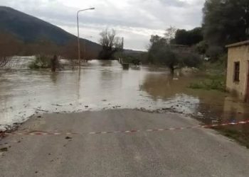 kalamas-plimmires-pxu7fd1dx7s6ujgt2e0o9wctvhopicxzz1253j2gu0