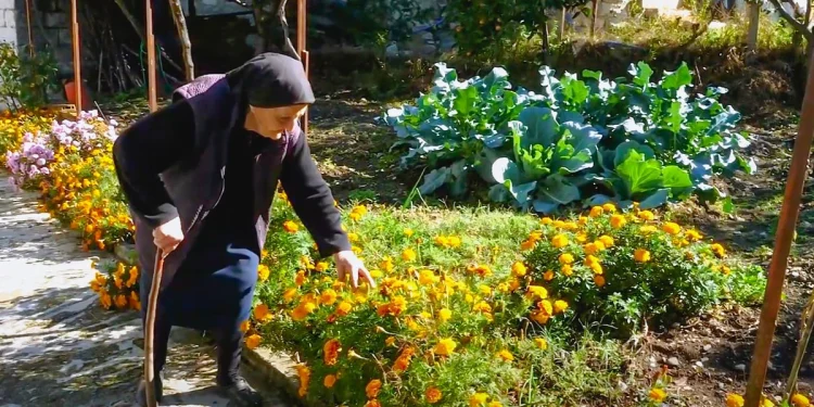 Οι Ηπειρώτισσες στην κορυφή της μακροζωίας