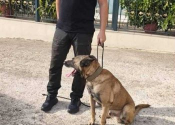 Ο Άρης ξετρύπωσε δηλητηριασμένα δολώματα στους Φιλιάτες