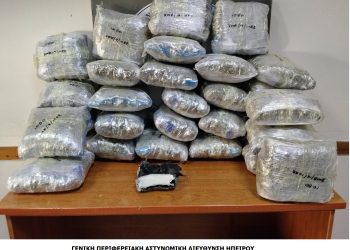 Σημαντική ποσότητα ναρκωτικών κατασχέθηκε σε περιοχή των Θεσπρωτίας