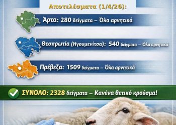 Αρνητικά όλα τα δείγματα για ευλογιά προβάτων στην Ήπειρο